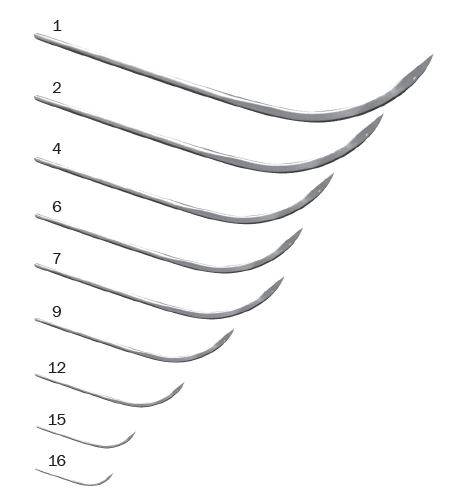 Image of Publication document.