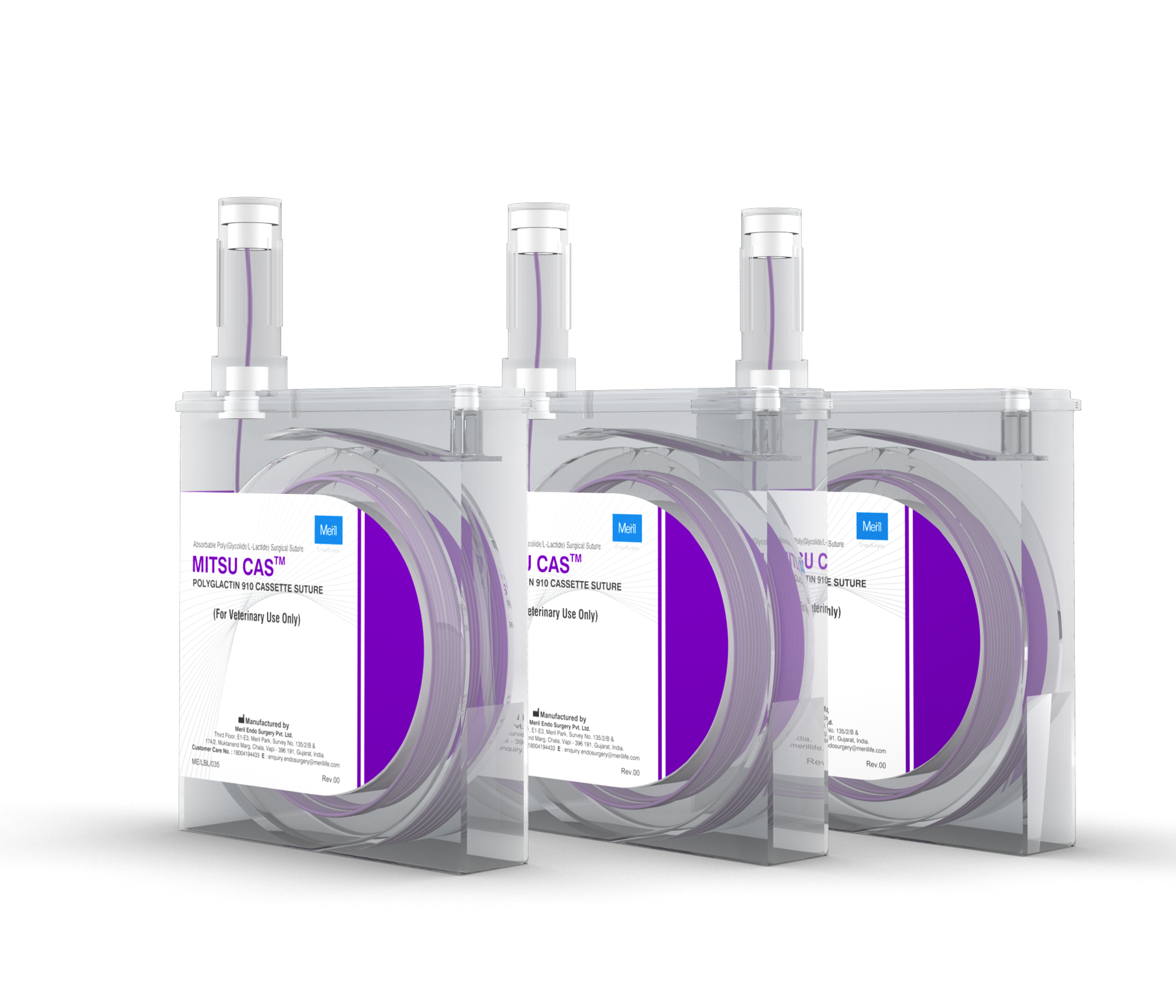 Image of Publication document.