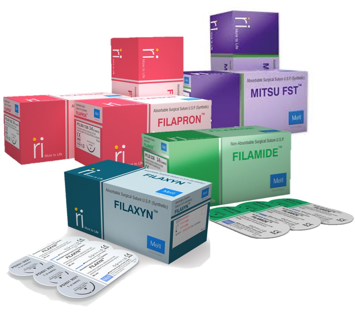 Image of Publication document.