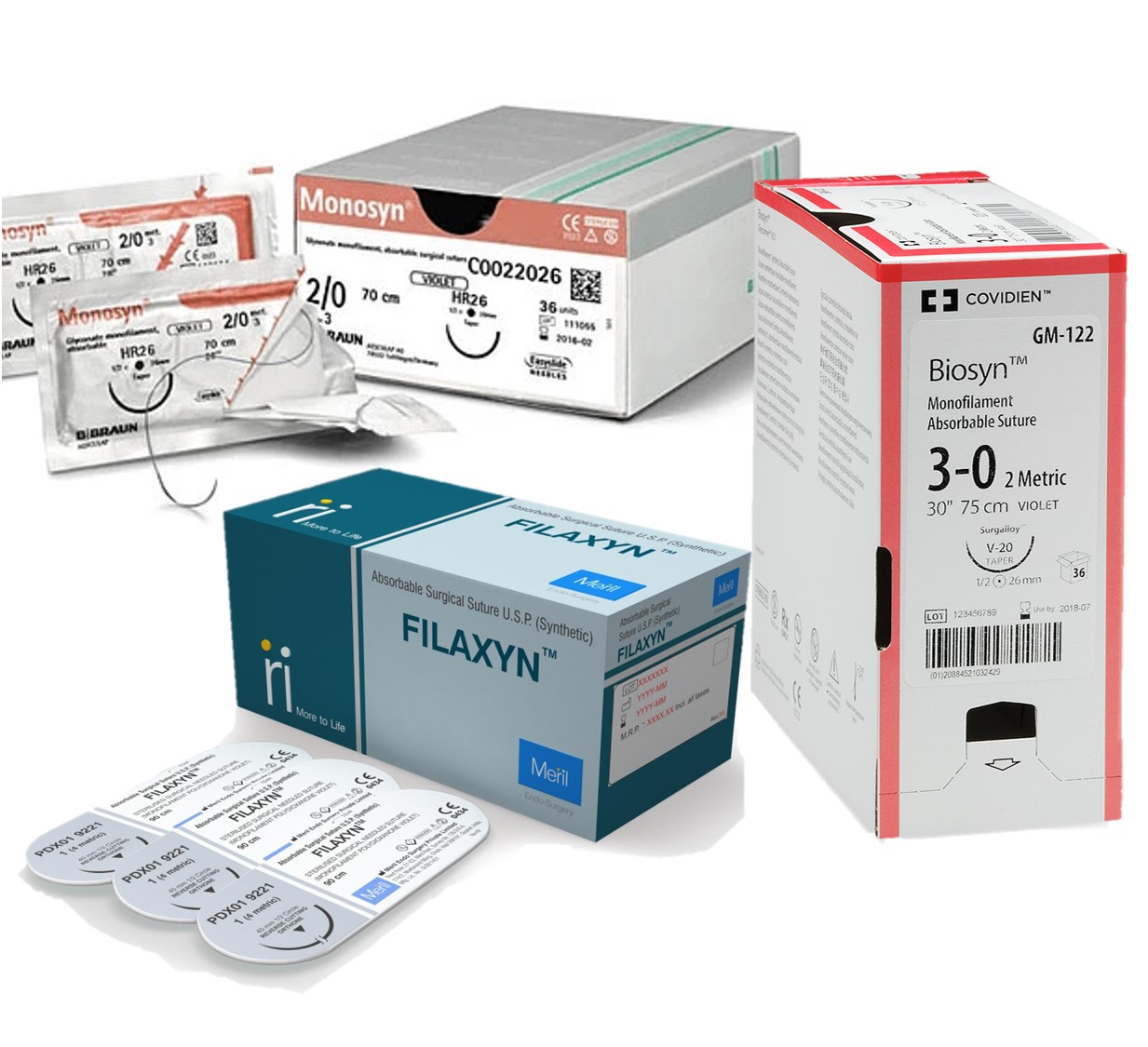 Image of Publication document.