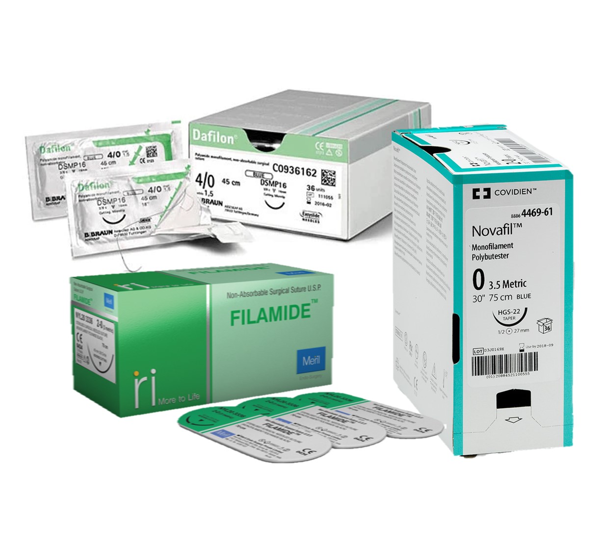 Image of Publication document.