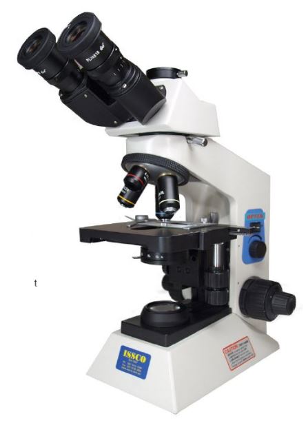 Image of Publication document.