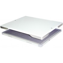 Image of Publication document.