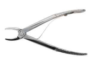 Image of Publication document.