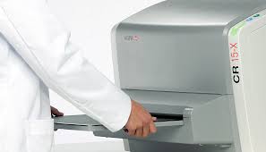 Image of Publication document.