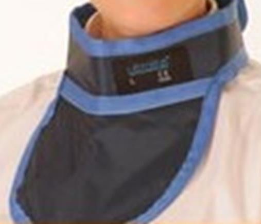 Image of Publication document.