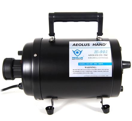 Image of Publication document.