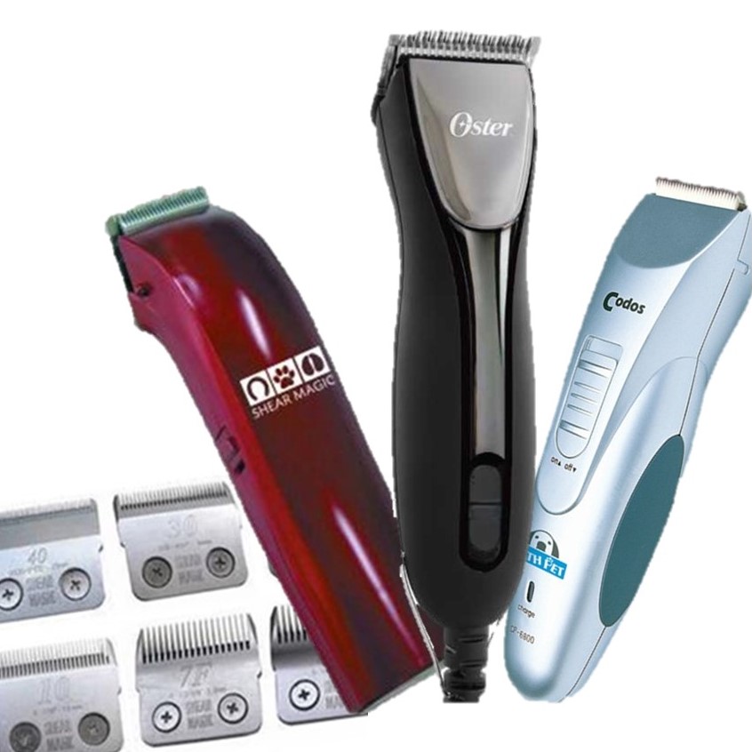 Image of Publication document.