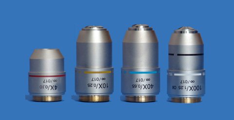 Image of Publication document.