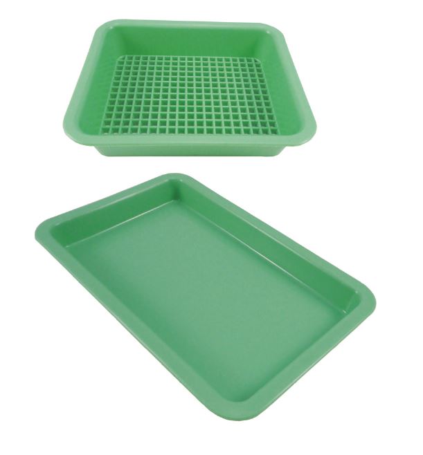 Image of Publication document.