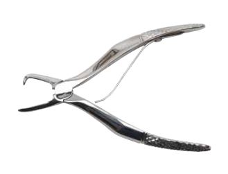 Image of Publication document.