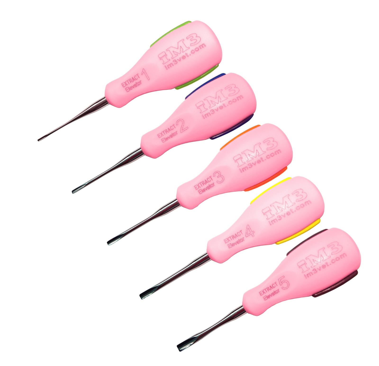 Image of Publication document.