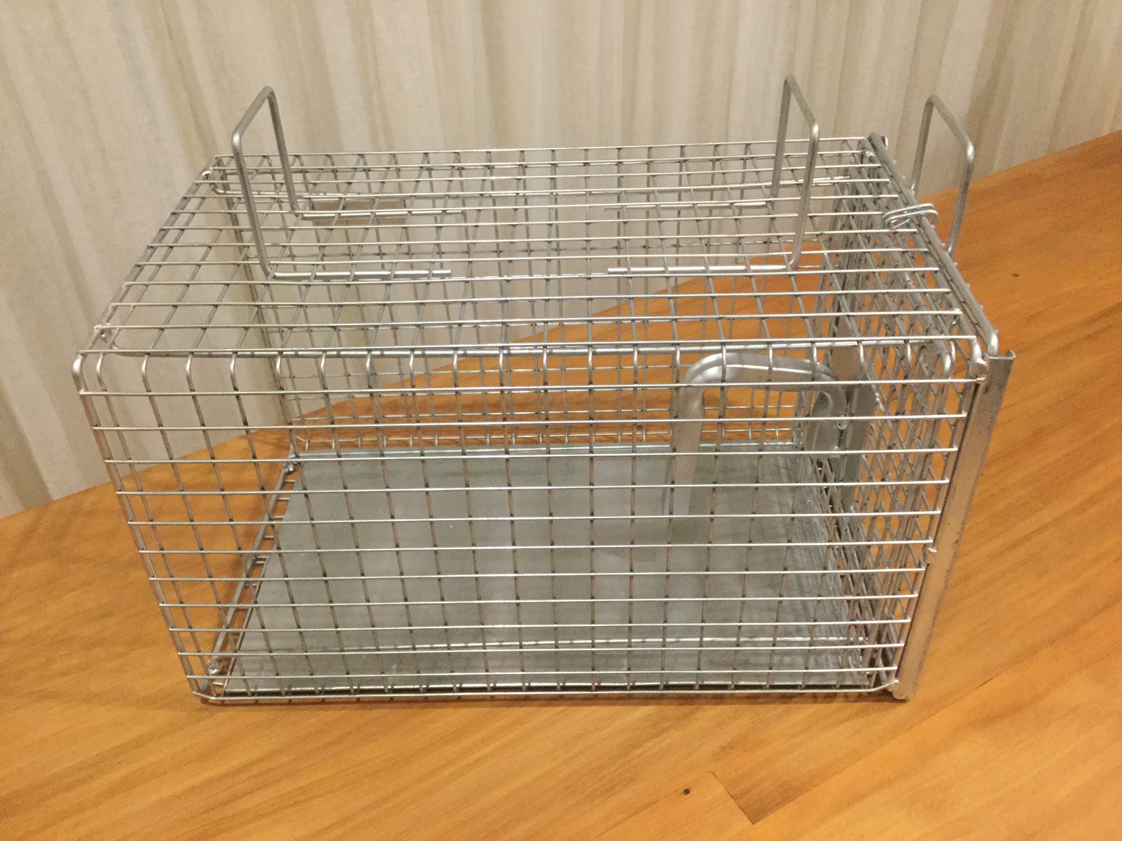 Image of Publication document.