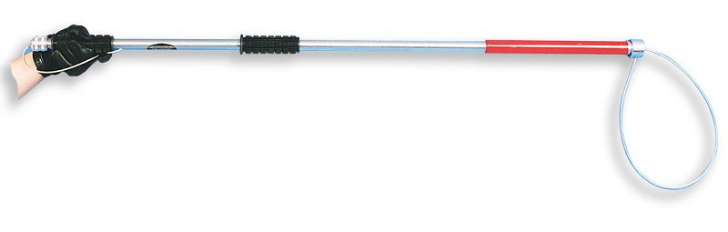 Image of Publication document.