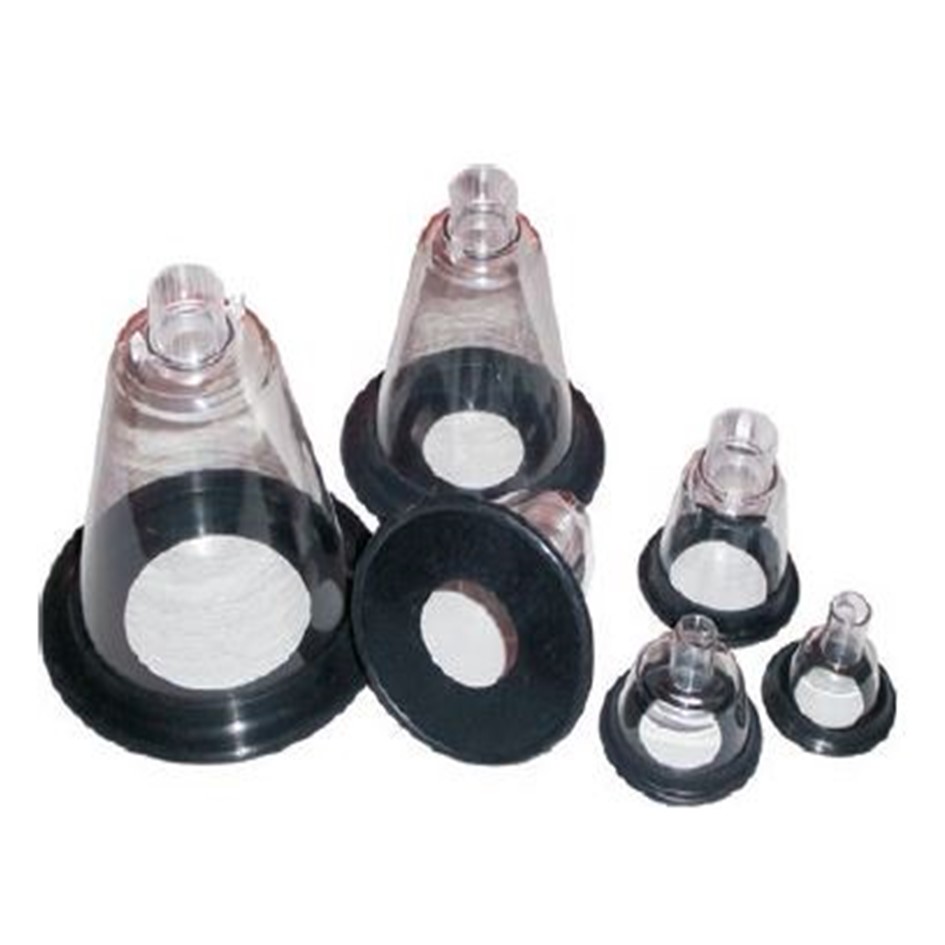 Image of Publication document.