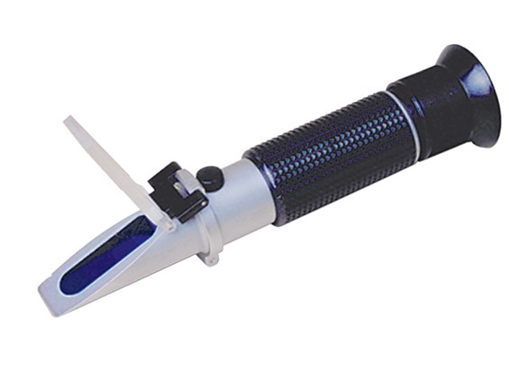 Image of Publication document.