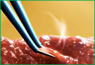 Image of Publication document.