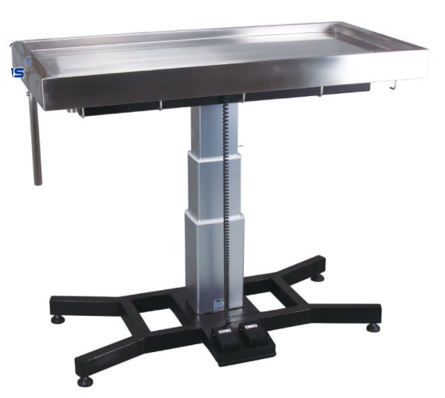 Image of Publication document.