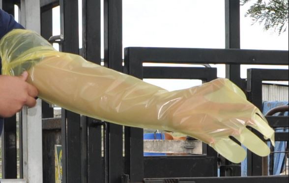 Image of Publication document.