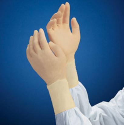 Image of Publication document.