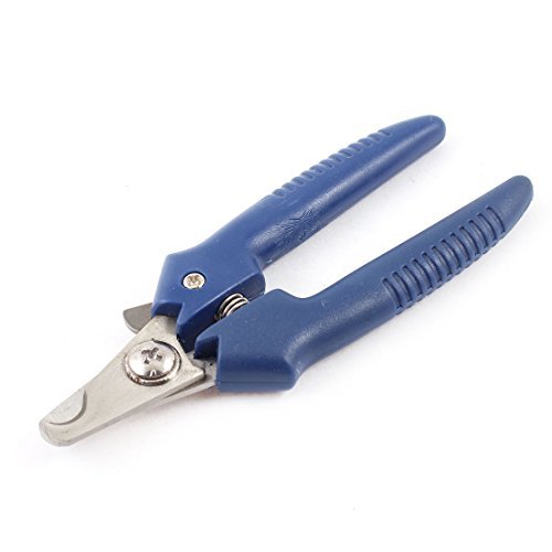 Image of Publication document.