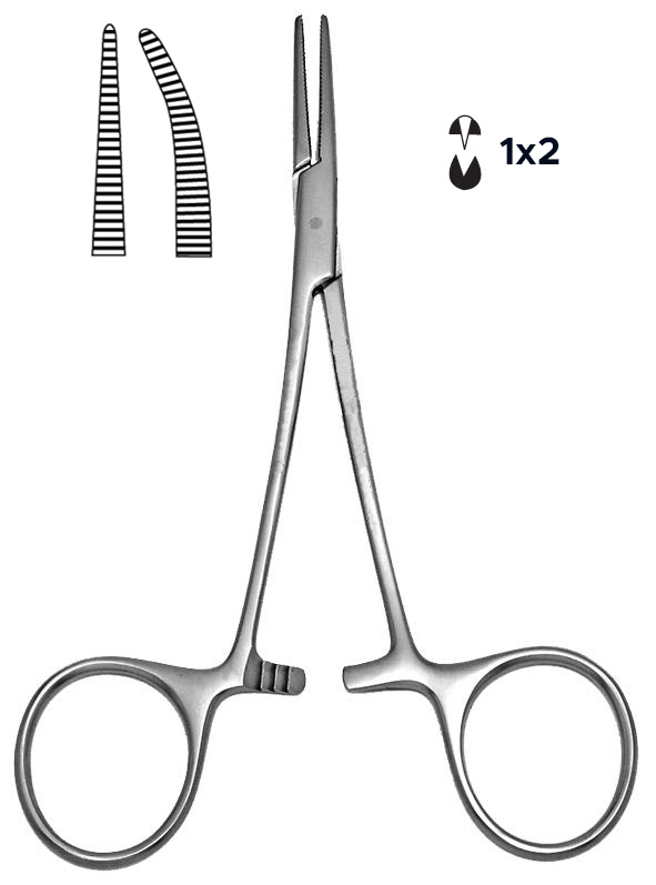 Image of Publication document.